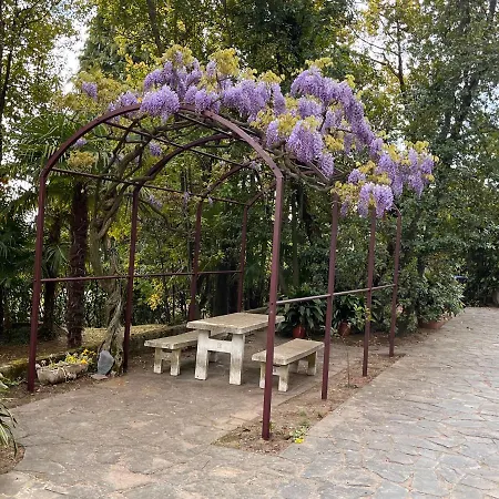 Vsc - In Storica Vista E Piscina Apartmán Lesa
