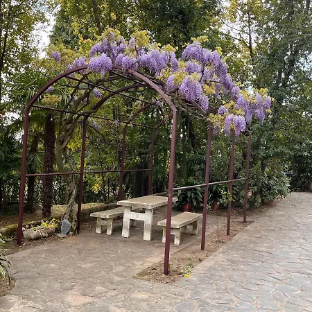 Vsc - In Storica Vista E Piscina Apartmán Lesa
