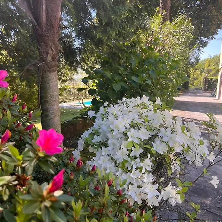 Vsc - In Storica Vista E Piscina Apartmán